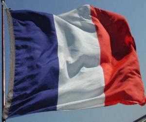 yapboz Fransa Bayrağı